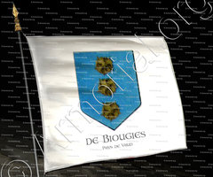 drapeau-de BIOUGIES_Pays de Vaud._Suisse