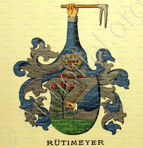 RÜTIMEYER