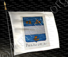 drapeau-PELICOT_Armorial Nice. (J. Casal, 1903) (Bibl. mun. de Nice)._France