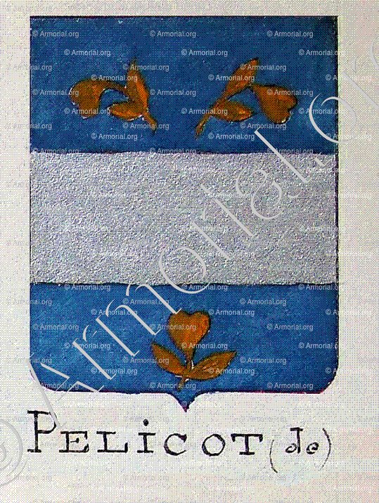 PELICOT_Armorial Nice. (J. Casal, 1903) (Bibl. mun. de Nice)._France