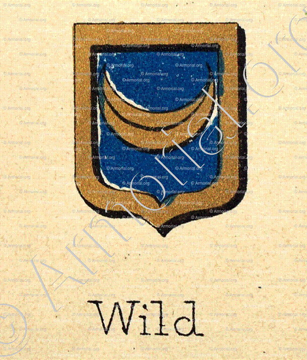 WILD_Livre d'Or du Canton de Fribourg (Freiburg). (Alfred Raemy, 1898)_Schweiz Suisse Svizzera Switz